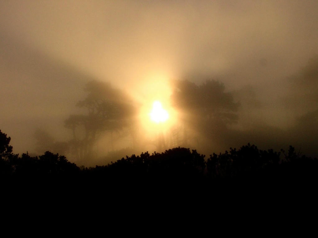 Sunrise somewhere in Marin County